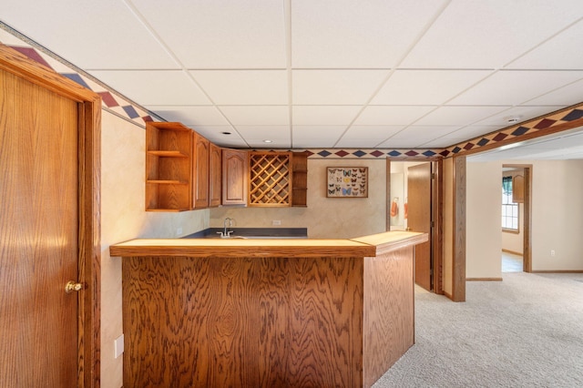 10550 E David Allen Rd, Columbia, MO 65201 - indoor wet bar featuring light colored carpet and a paneled ceiling
