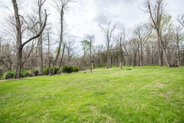 2130 E 163, Columbia, MO 65201 - view of green lawn