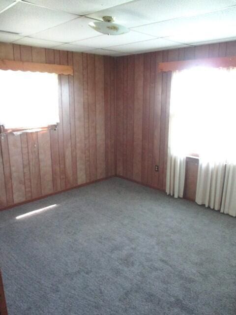 17750 N Rte Z, Centralia, MO 65240 - carpeted spare room with wood walls
