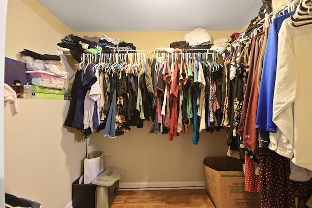4241 E Ketterer Rd, Columbia, MO 65202 - walk in closet with wood finished floors