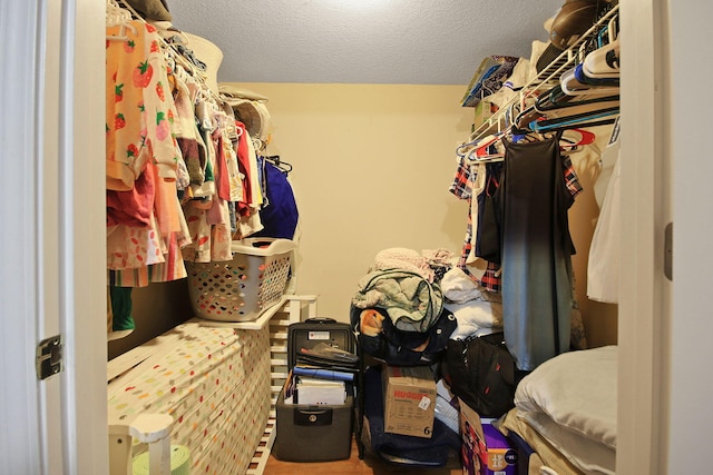 4241 E Ketterer Rd, Columbia, MO 65202 - view of walk in closet
