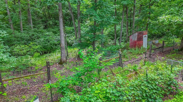 4241 E Ketterer Rd, Columbia, MO 65202 - view of woods