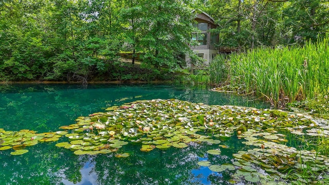 4241 E Ketterer Rd, Columbia, MO 65202 - view of swimming pool