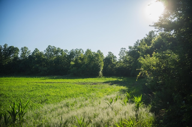 N Locust Grove Church Rd, Columbia, MO 65201
