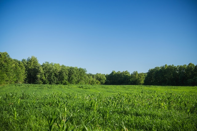 N Locust Grove Church Rd, Columbia, MO 65201