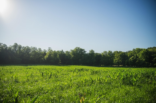 N Locust Grove Church Rd, Columbia, MO 65201