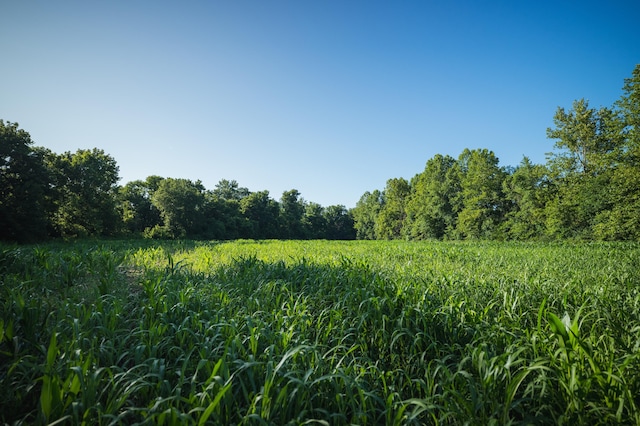 N Locust Grove Church Rd, Columbia, MO 65201