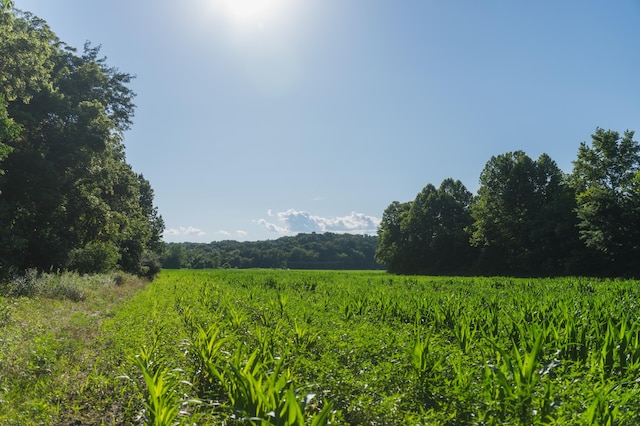 N Locust Grove Church Rd, Columbia, MO 65201
