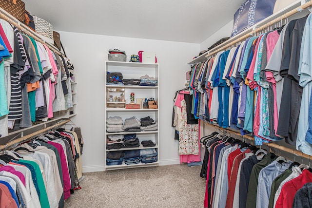 2905 N N Garth Ave, Columbia, MO 65202 - walk in closet featuring carpet
