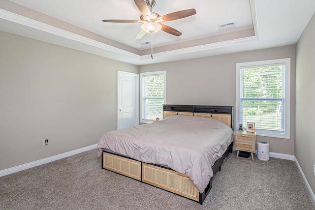 2905 N N Garth Ave, Columbia, MO 65202 - bedroom featuring a raised ceiling, carpet, and ceiling fan