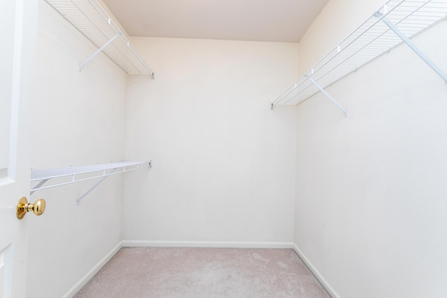 1703 Osage Dr, Columbia, MO 65202 - spacious closet with light carpet