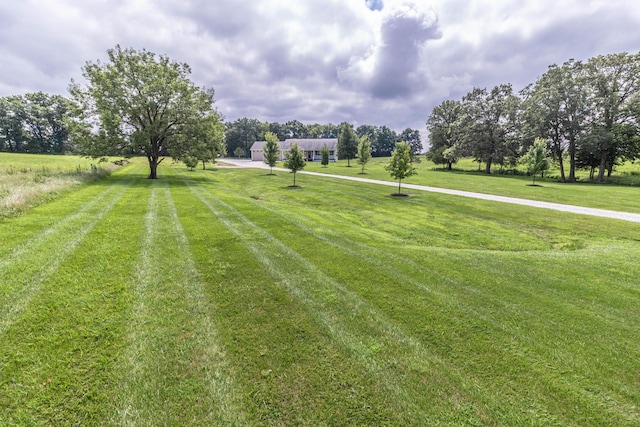 7700 N Ballew Rd, Hallsville, MO 65255 - view of green lawn