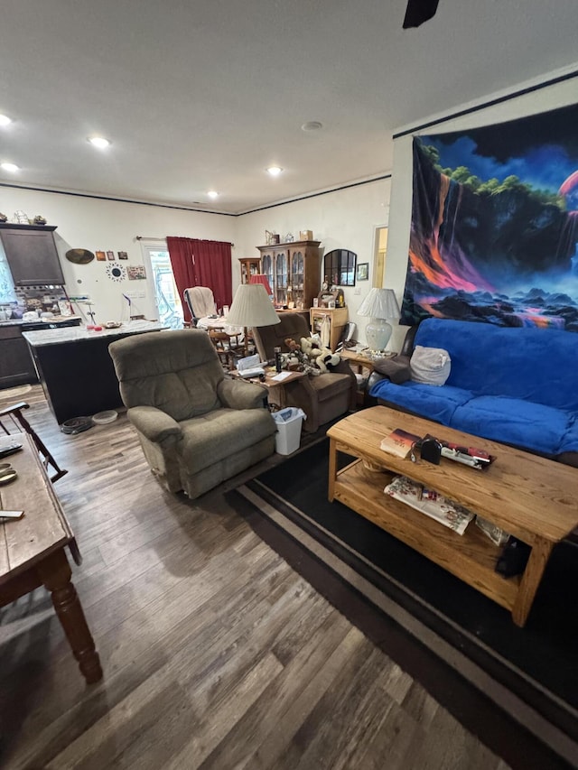 200 W Lakeview Ave, Centralia, MO 65240 - living room featuring wood finished floors and recessed lighting