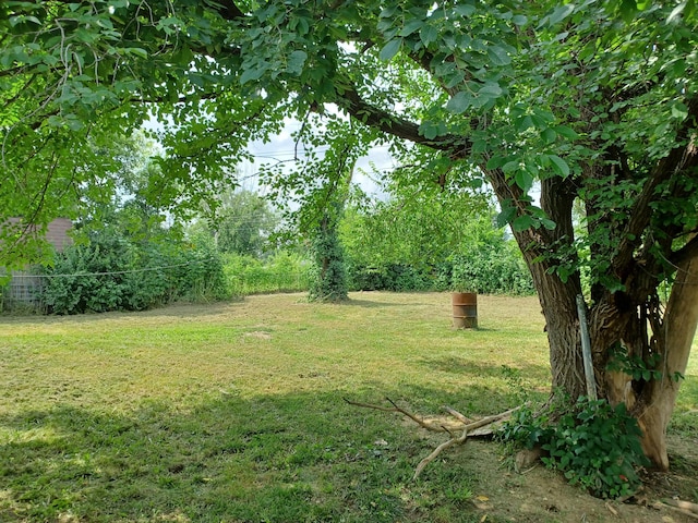 3705 Weymeyer Dr, Columbia, MO 65202 - photo 7