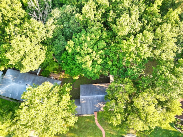 1211 Frances Dr, Columbia, MO 65203 - photo 31
