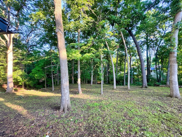 1211 Frances Dr, Columbia, MO 65203 - photo 27