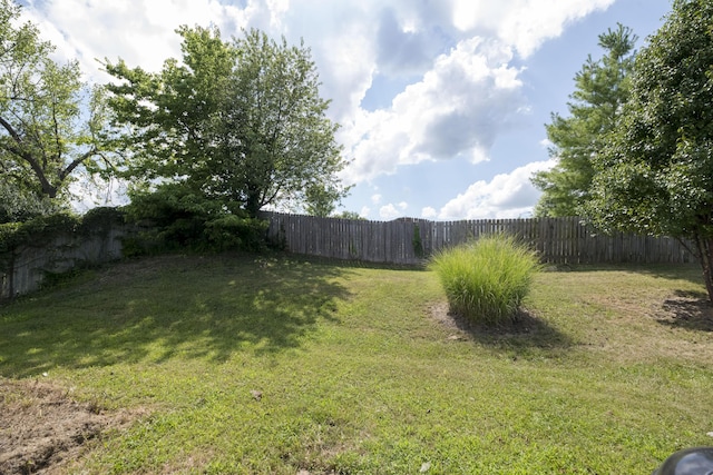 1901 Limestone Ave, Columbia, MO 65203 - photo 27