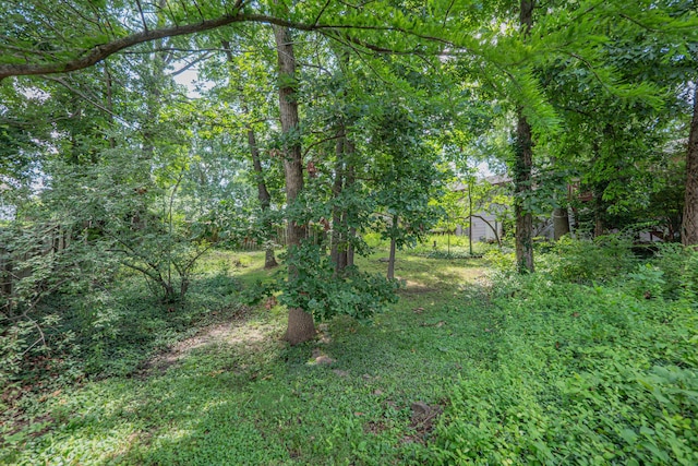 713 Homestead Dr, Moberly, MO 65270 - photo 46