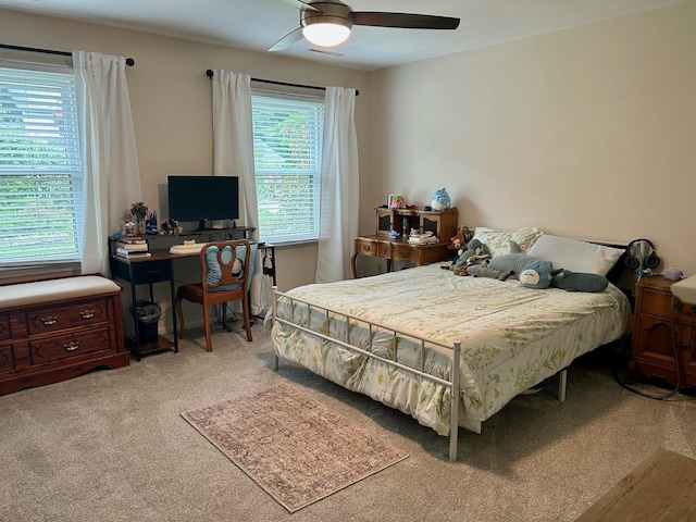 509 Arbor Dr, Columbia, MO 65201 - photo 10