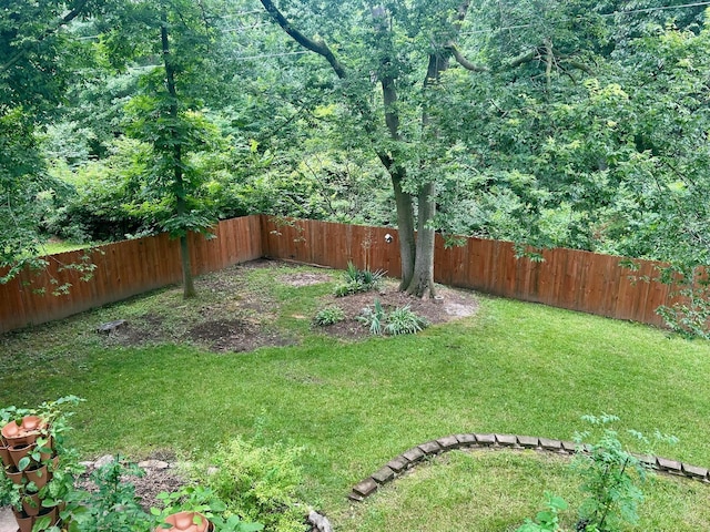 509 Arbor Dr, Columbia, MO 65201 - photo 20