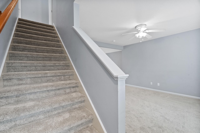 4101 Meadow View Dr, Columbia, MO 65201 - photo 21