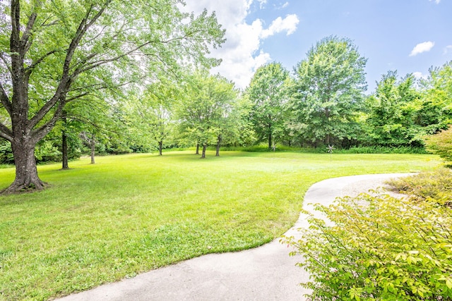 1710 W High Point Ln, Columbia, MO 65203 - photo 17