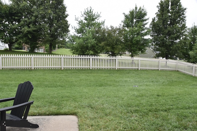 114 Cedar Falls Ct, Columbia, MO 65203 - photo 10