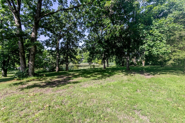 1537 N Lake Of The Woods Rd, Columbia, MO 65202 - photo 38
