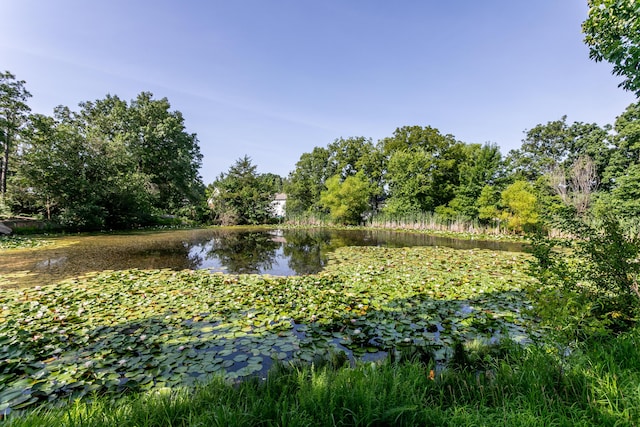 1537 N Lake Of The Woods Rd, Columbia, MO 65202 - photo 37