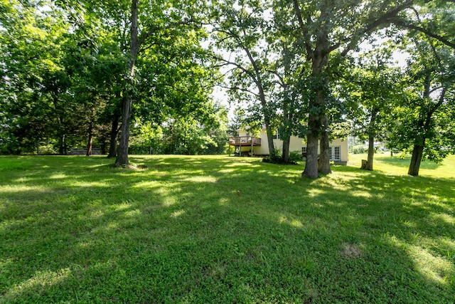 1537 N Lake Of The Woods Rd, Columbia, MO 65202 - photo 36