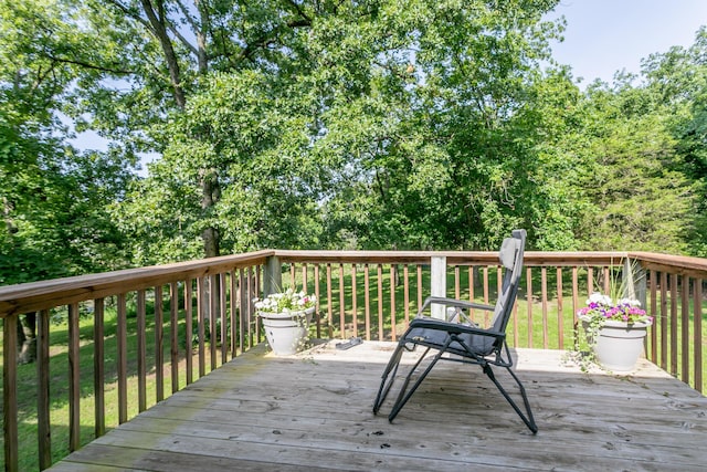 1537 N Lake Of The Woods Rd, Columbia, MO 65202 - photo 31