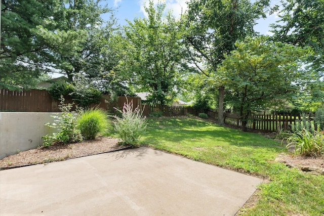 3701 Sardis Ct, Columbia, MO 65203 - photo 41