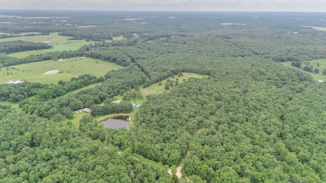 319 County Road 2270, Salem, MO 65560 - photo 60