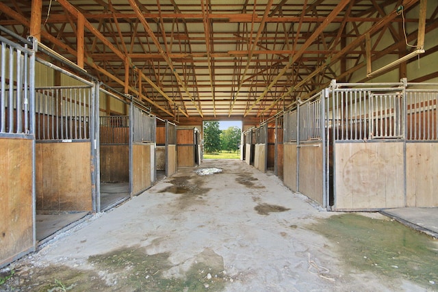 15257 N Tucker School Rd, Hallsville, MO 65255 - photo 47