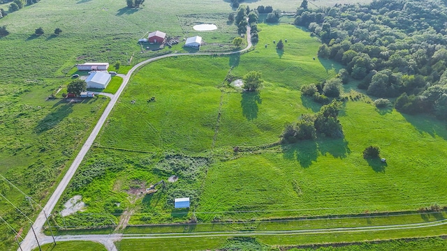 15257 N Tucker School Rd, Hallsville, MO 65255 - photo 67