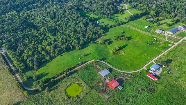 15257 N Tucker School Rd, Hallsville, MO 65255 - photo 69