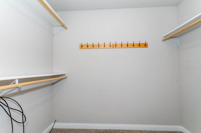 505 E Terrill Rd, Moberly, MO 65270 - photo 14