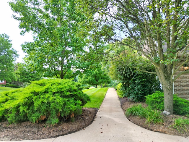 6005 Dornagh Ct, Columbia, MO 65203 - photo 3