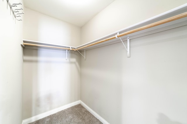 2009 Shale Ridge Ct, Columbia, MO 65203 - photo 16