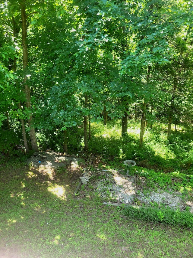 5171 N Creasy Springs Rd, Columbia, MO 65202 - photo 6
