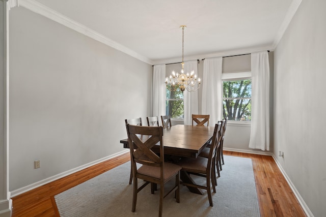 1905 Hatton Dr, Columbia, MO 65203 - photo 6