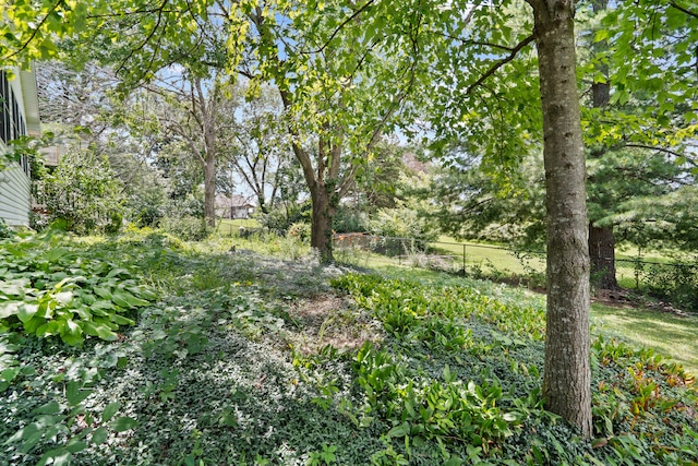 1417 Colonial Dr, Fulton, MO 65251 - photo 41