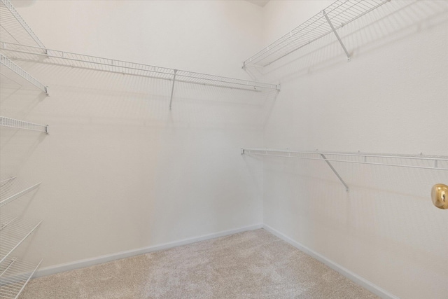 1900 Thoreau Ct, Columbia, MO 65202 - photo 16