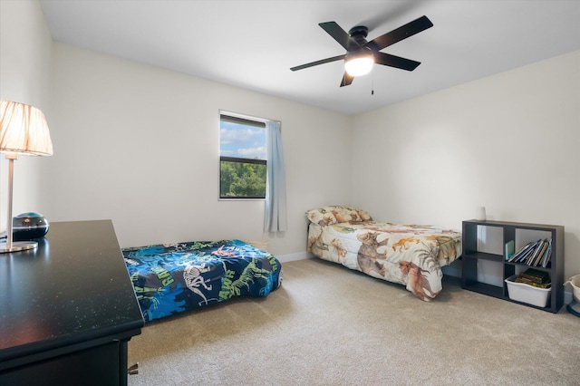 6304 E Ash Grove Ln, Hallsville, MO 65255 - photo 29