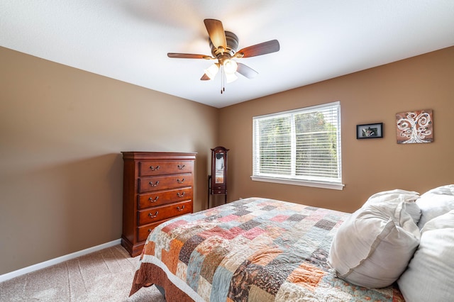 2203 Grizzly Ct, Columbia, MO 65202 - photo 16