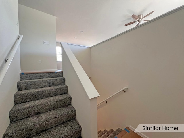 3501 Napoli Dr, Columbia, MO 65202 - photo 7