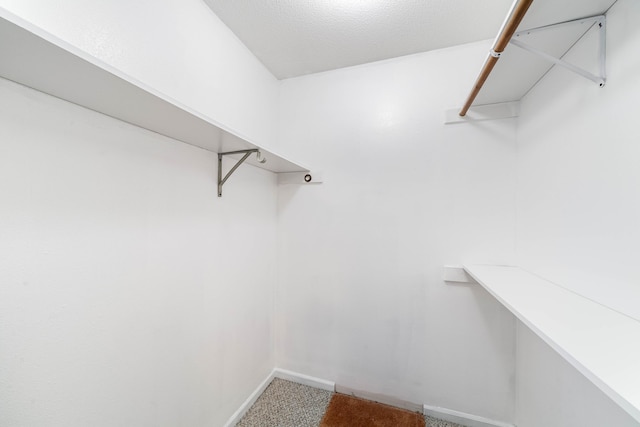 301 Park Deville Pl Unit 301, Columbia, MO 65203 - photo 8