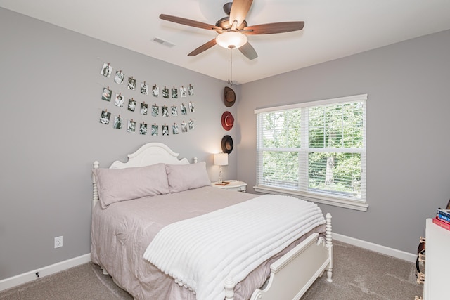 3107 Crape Myrtle Dr, Columbia, MO 65203 - photo 36