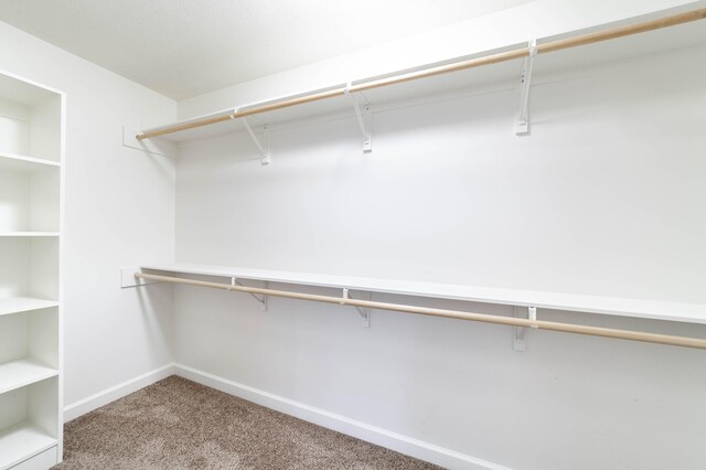 4810 Mcmickle Dr, Columbia, MO 65203 - photo 20