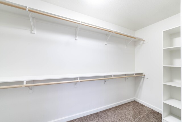 4810 Mcmickle Dr, Columbia, MO 65203 - photo 21